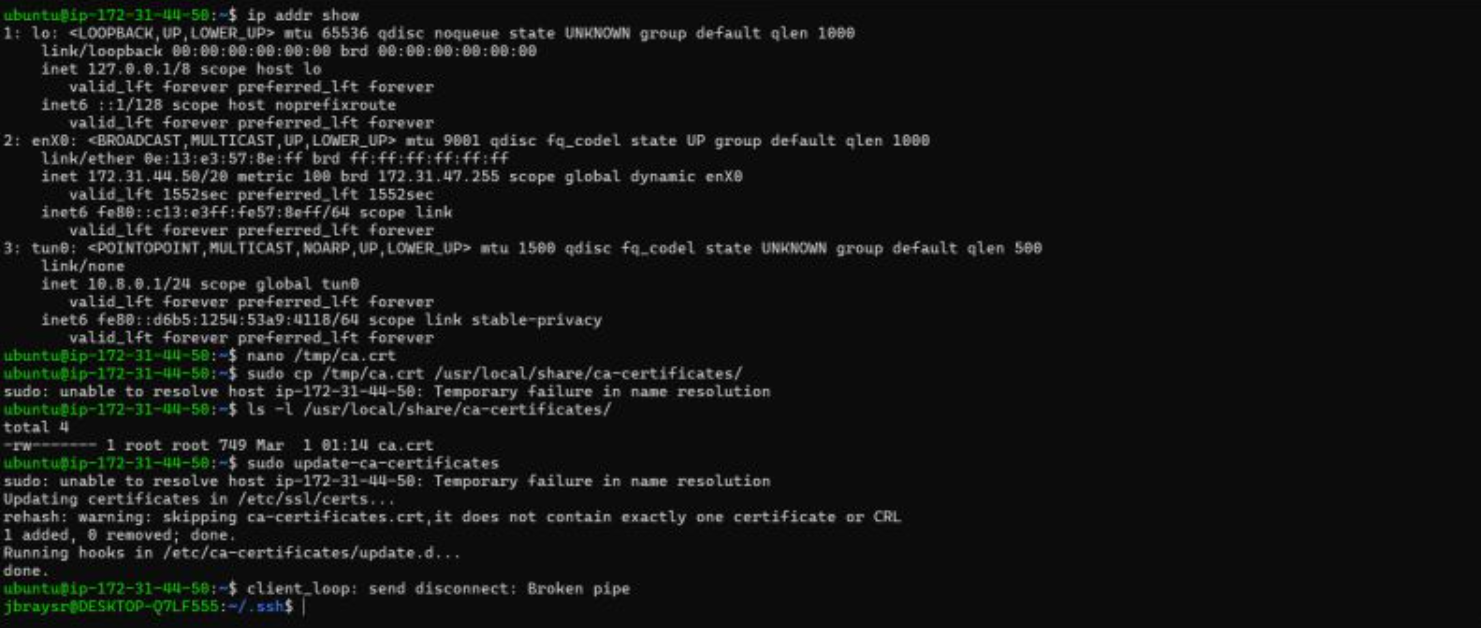 OpenVPN client connection log
